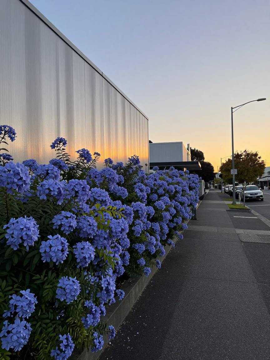 Dawn Light in Christchurch at First Light Of Dawn in in Christchurch, New Zealand
