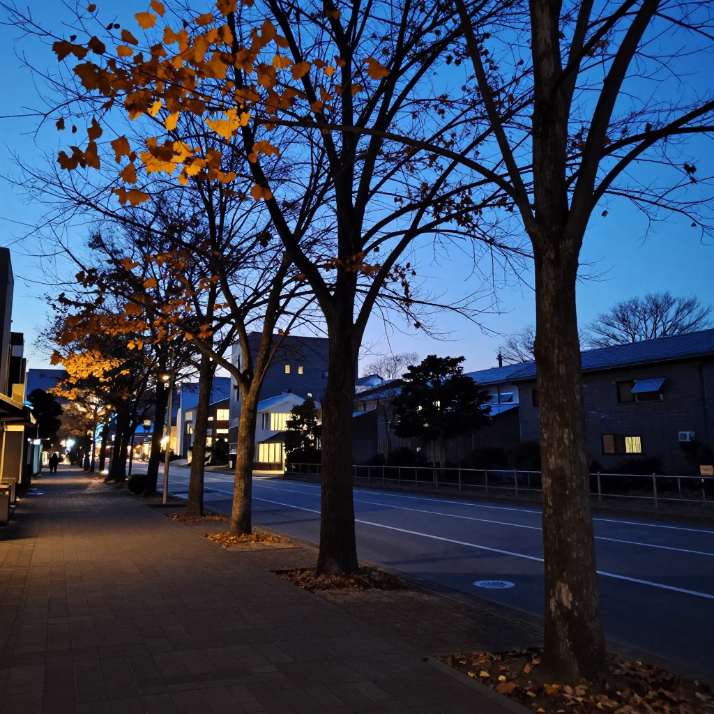 Dawn Light in Sapporo at The Still Hours Before Dawn Light in in Sapporo, Japan