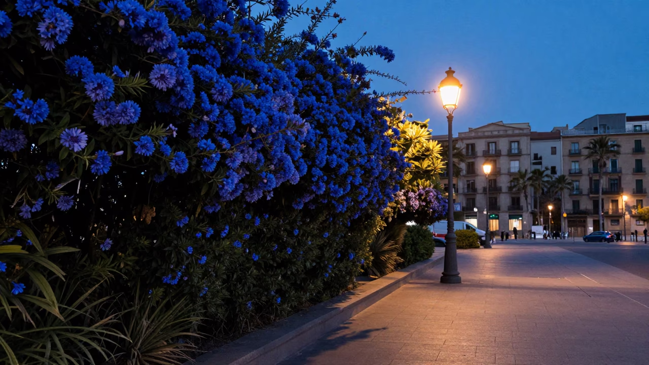 Dawn Light on Barcelona Plaza with Plumbago Hedge and Door Latch Detail in in Barcelona, Spain