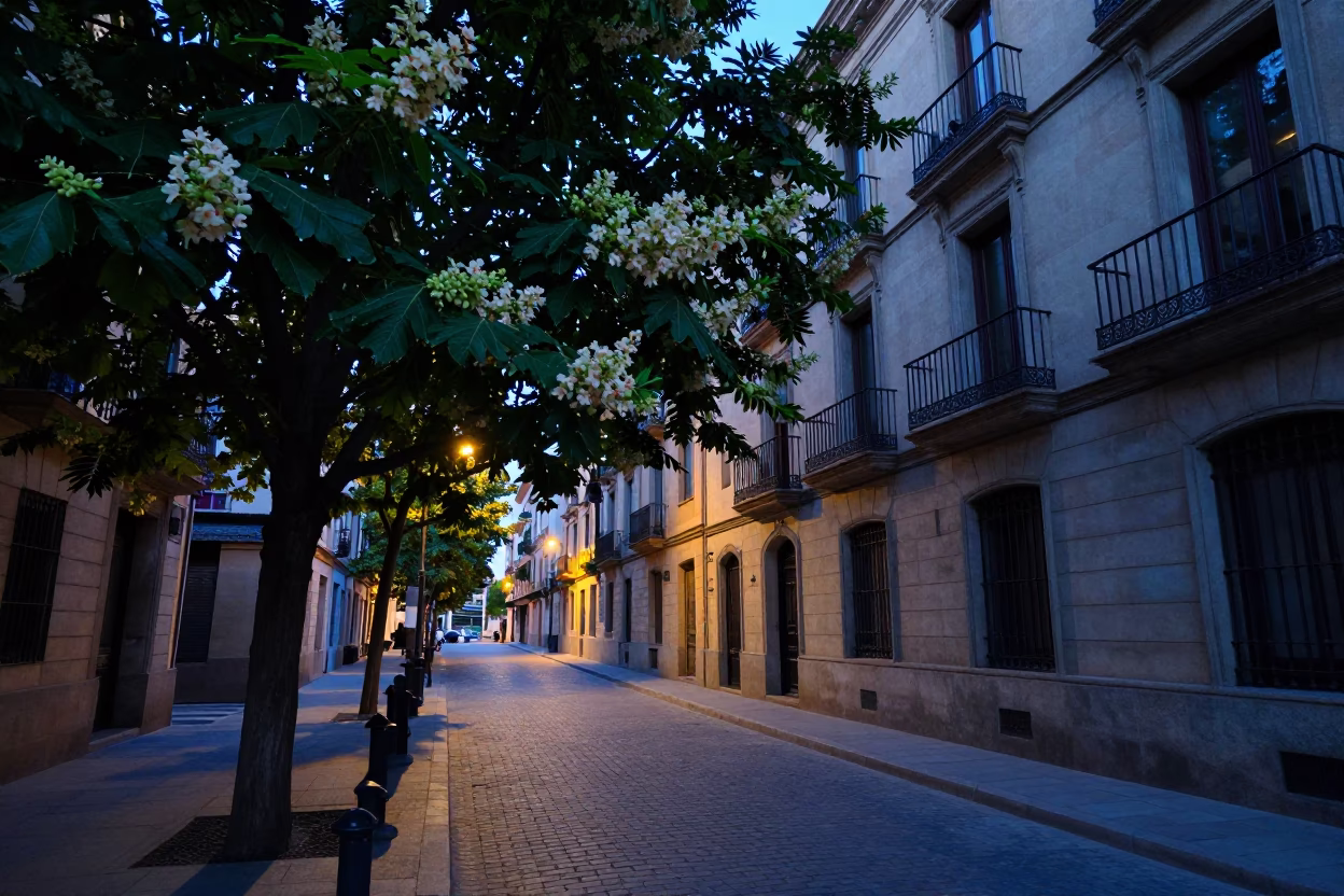 Dawn Light on Barcelona Street with Chestnut Tree and Clipboard in 90s Fashion in in Barcelona, Spain