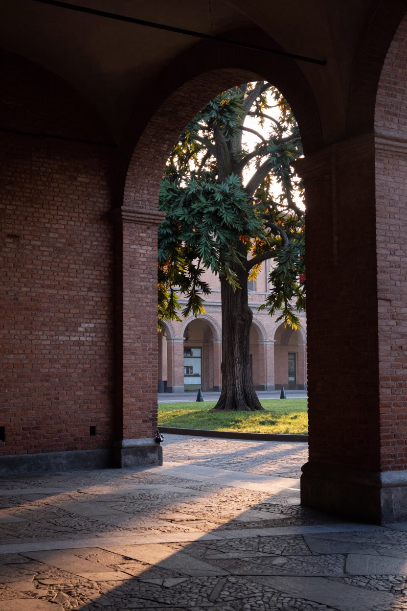 Dawn light on Bologna porticoes with copper beech tree and vintage construction in in Bologna, Italy