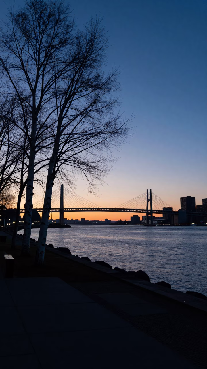 Dawn Light on Boston Harbor Wharf with White Birches and Card Game in in Boston, Massachusetts, United States