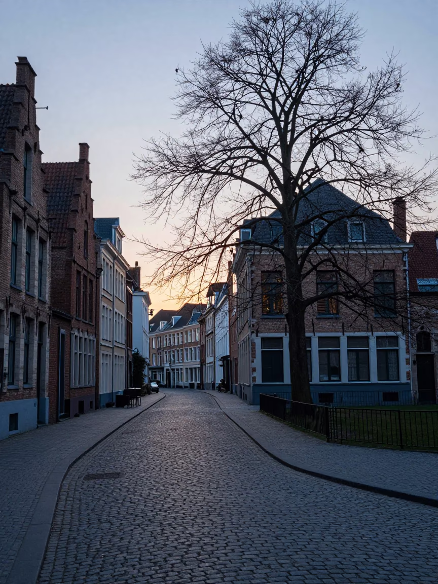 Dawn Light on Brussels Cobblestone Street with Copper Beech and Morning Commute in in Brussels, Belgium