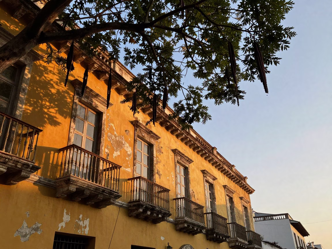 Dawn Light on Colonial Balconies in Cartagena Colombia with Tamarind Tree and Coffee Jar in in Cartagena, Colombia