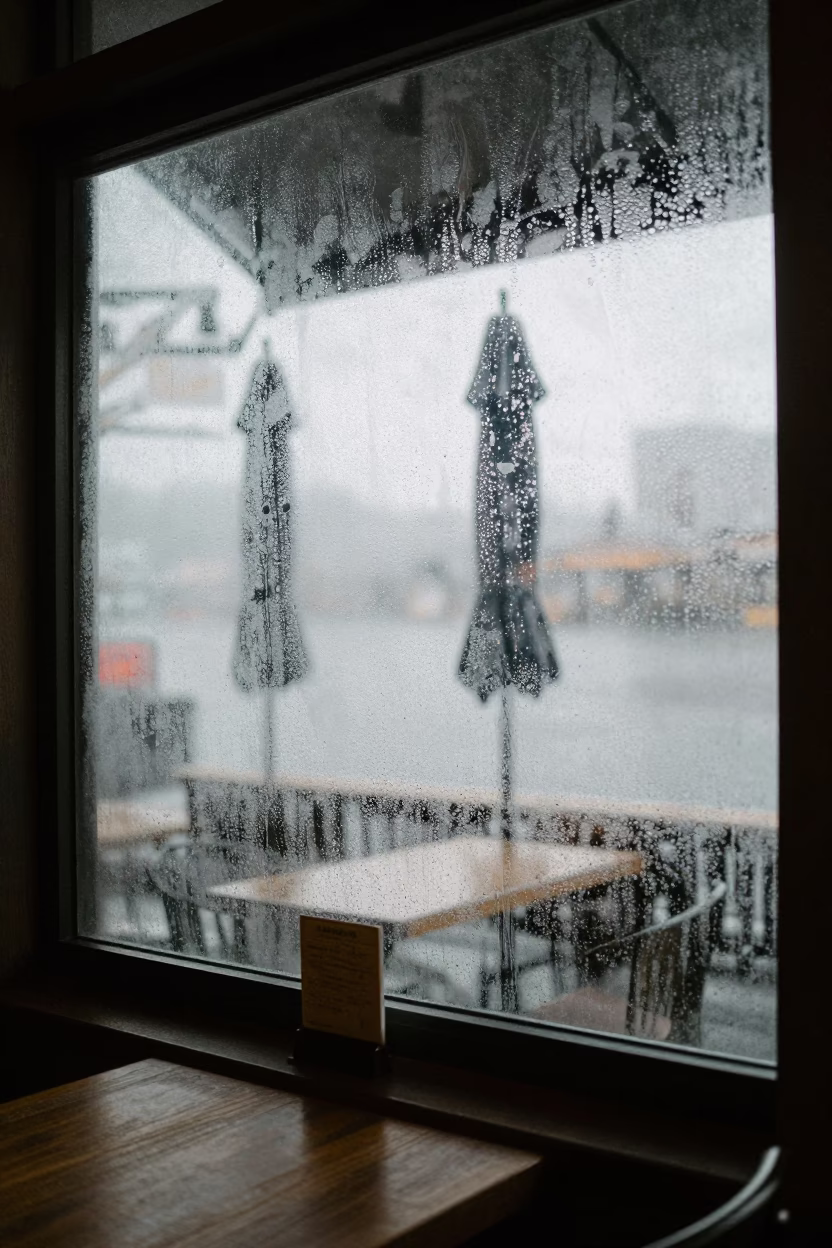 Dawn Light on Covered Window in Seattle in in Seattle, Washington, United States