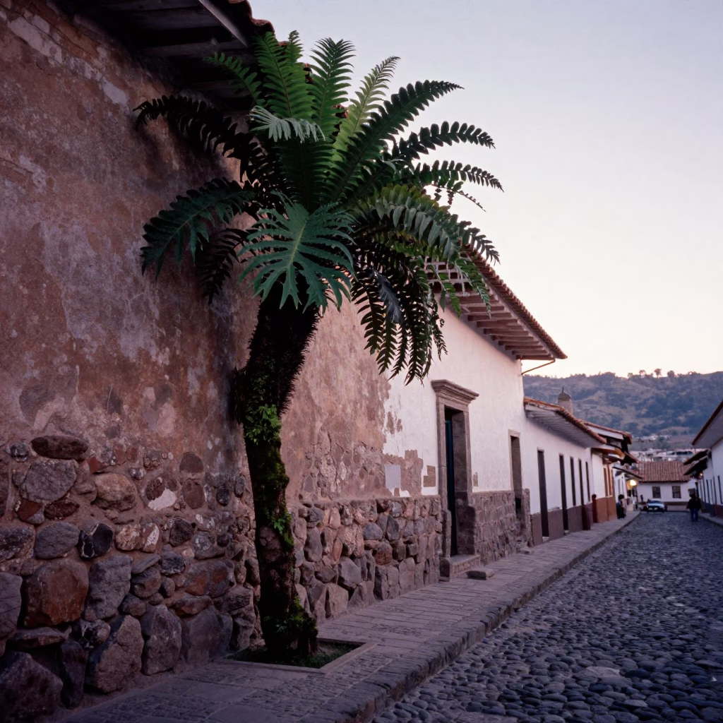 Dawn light on Cusco cobblestones with staghorn fern and jacaranda blooms in in Cusco, Peru