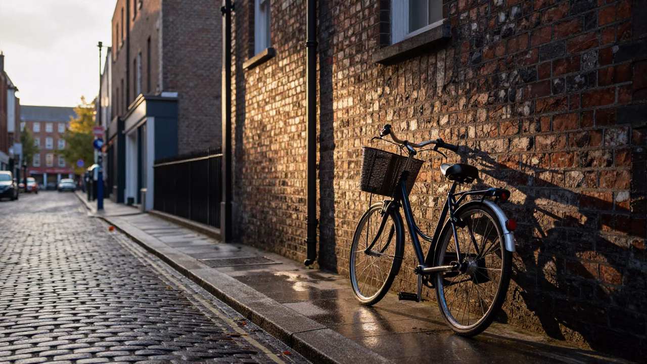 Dawn Light on Dublin Street with Bicycle Basket and Vine in in Dublin, Ireland