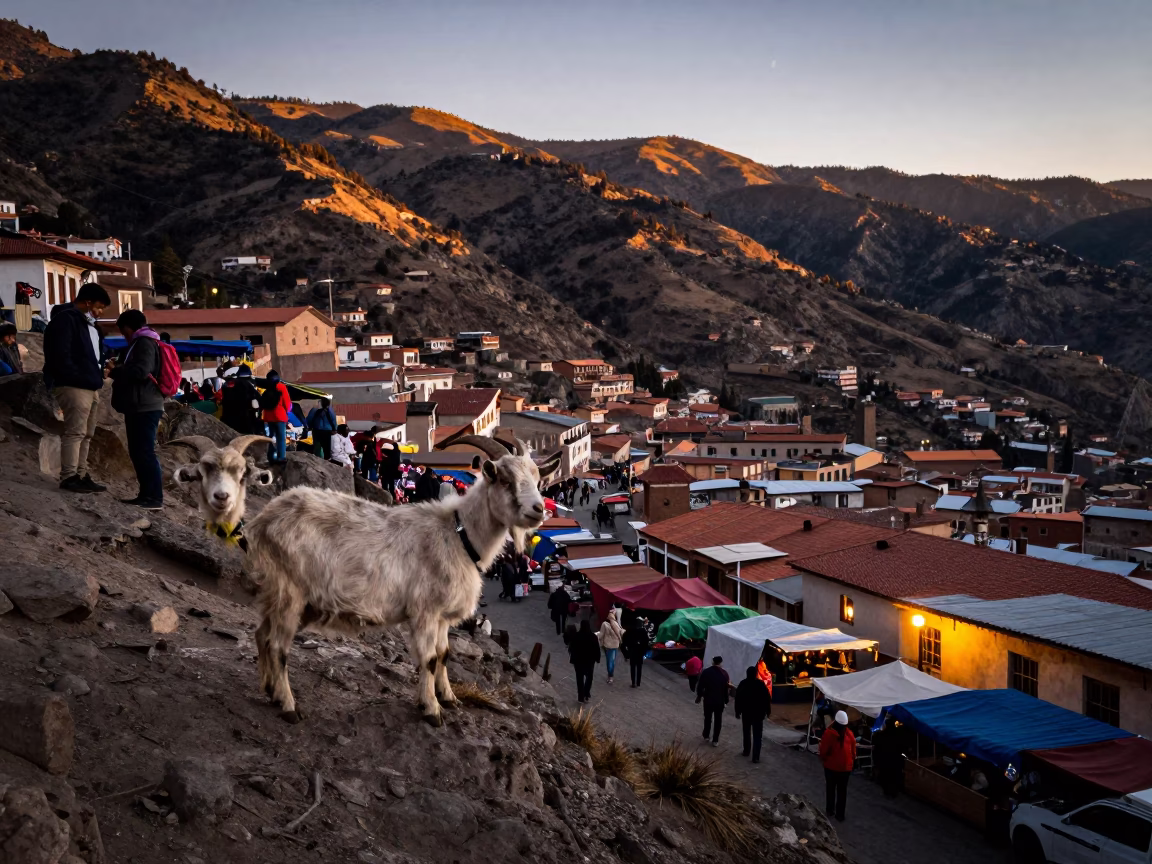 Dawn Light on La Paz Street Market with Goat and Drying Towels in in La Paz, Bolivia