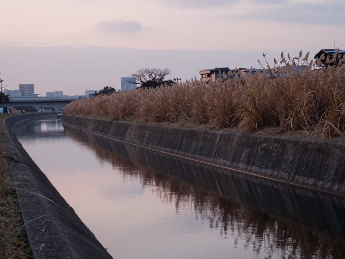 Dawn light on Osaka canal reeds and concrete embankment before sunrise in in Osaka, Japan