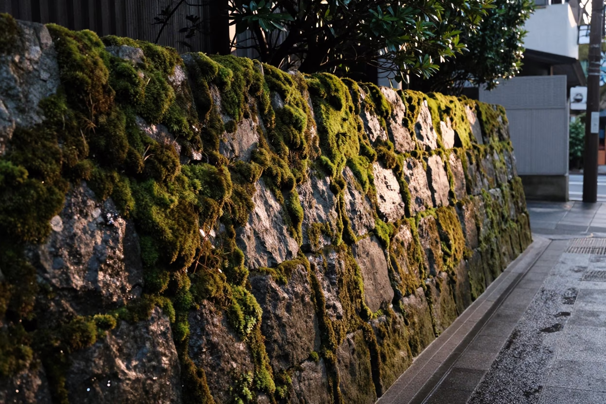 Dawn light on Tokyo mossy stone wall and quiet street corner in in Tokyo, Japan