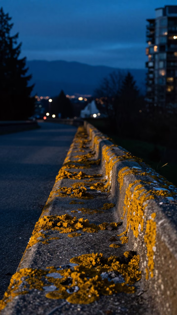 Dawn Light on Vancouver Aqueduct Maintenance Path Lichen Parapets and Hose Nozzle in in Vancouver, British Columbia, Canada