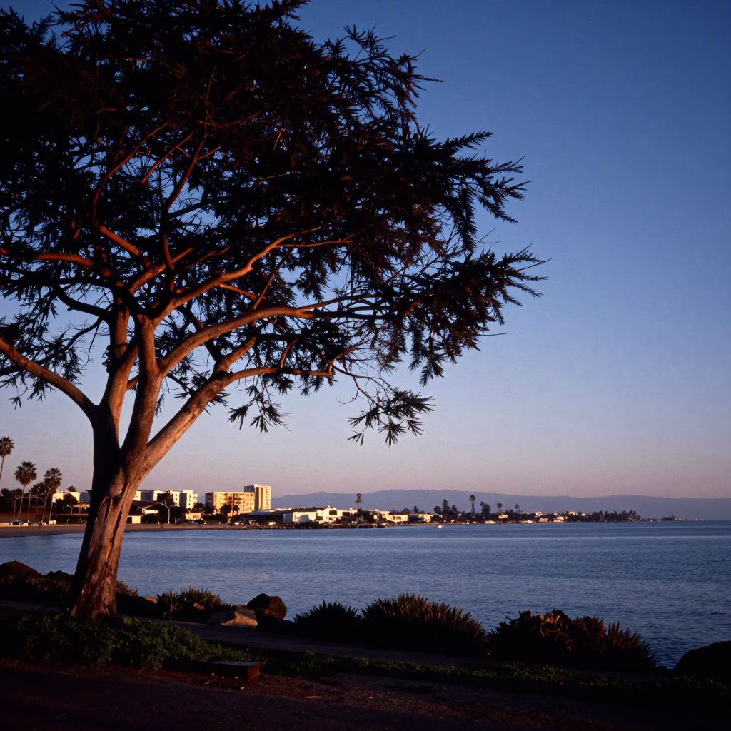 Dawn light over San Diego bay with copper beech tree and swan pedal boat in in San Diego, California, United States