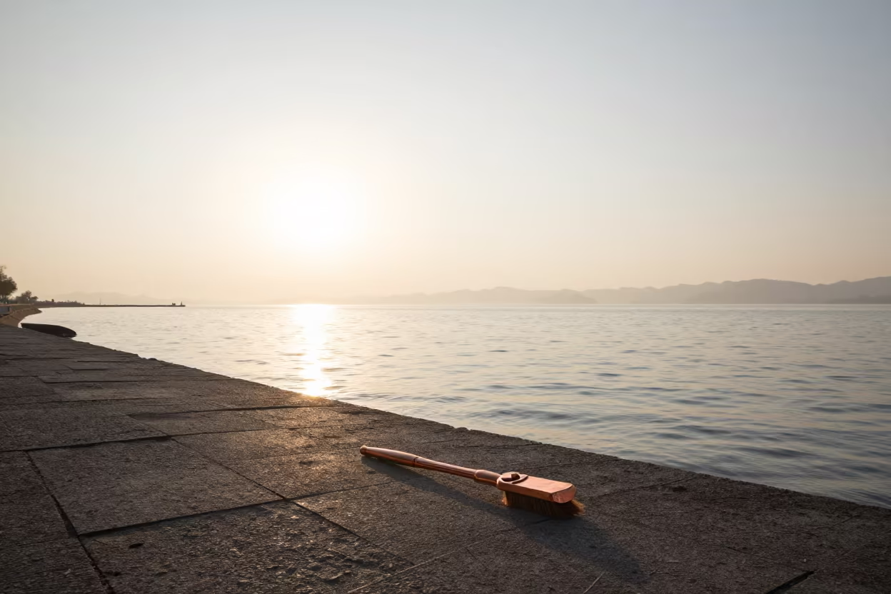 Dawn light on Zhejiang sage plain with copper brush in along a wave-cut shoreline in Zhejiang
