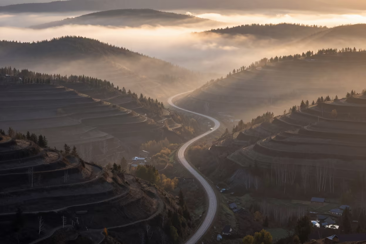 Dawn Mist Over Logging Road Boreal Hills in far above terraced hillsides near Nara