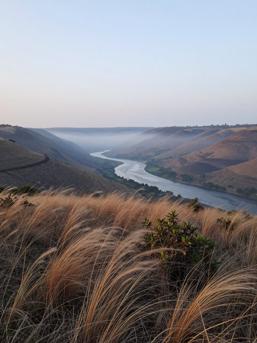 Dawn Mist Over Angola Coastal Heath Ridge in from a ridge above layered foothills in Angola
