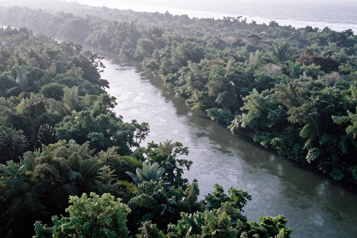 Dawn River Snaking Through Forest Canopy in far above surf-scalloped coastline near Thủ Đức