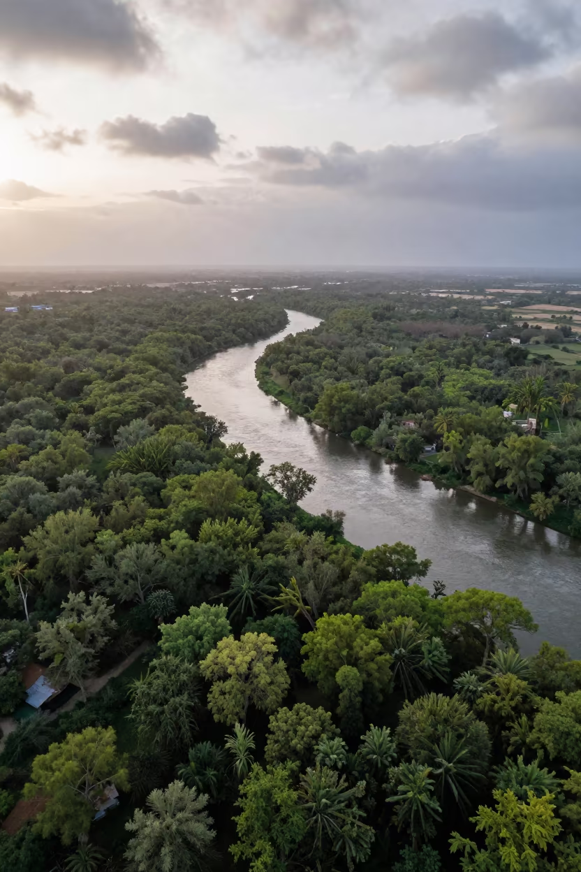 Dawn River Snaking Through Late Spring Forest in near Tikrit