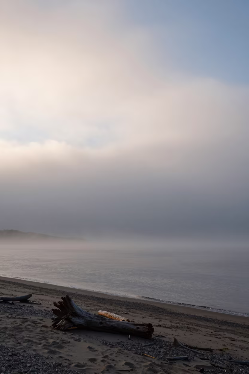 Dawn Roll Cloud Over Japanese Beach Fog in through low marine fog in Japan
