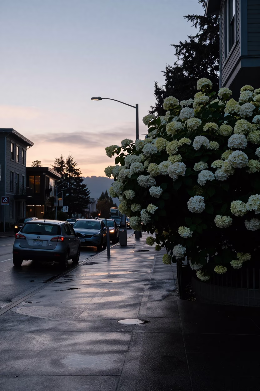 Dawn Scene in Portland at First Light Of Dawn in in Portland, Oregon, United States