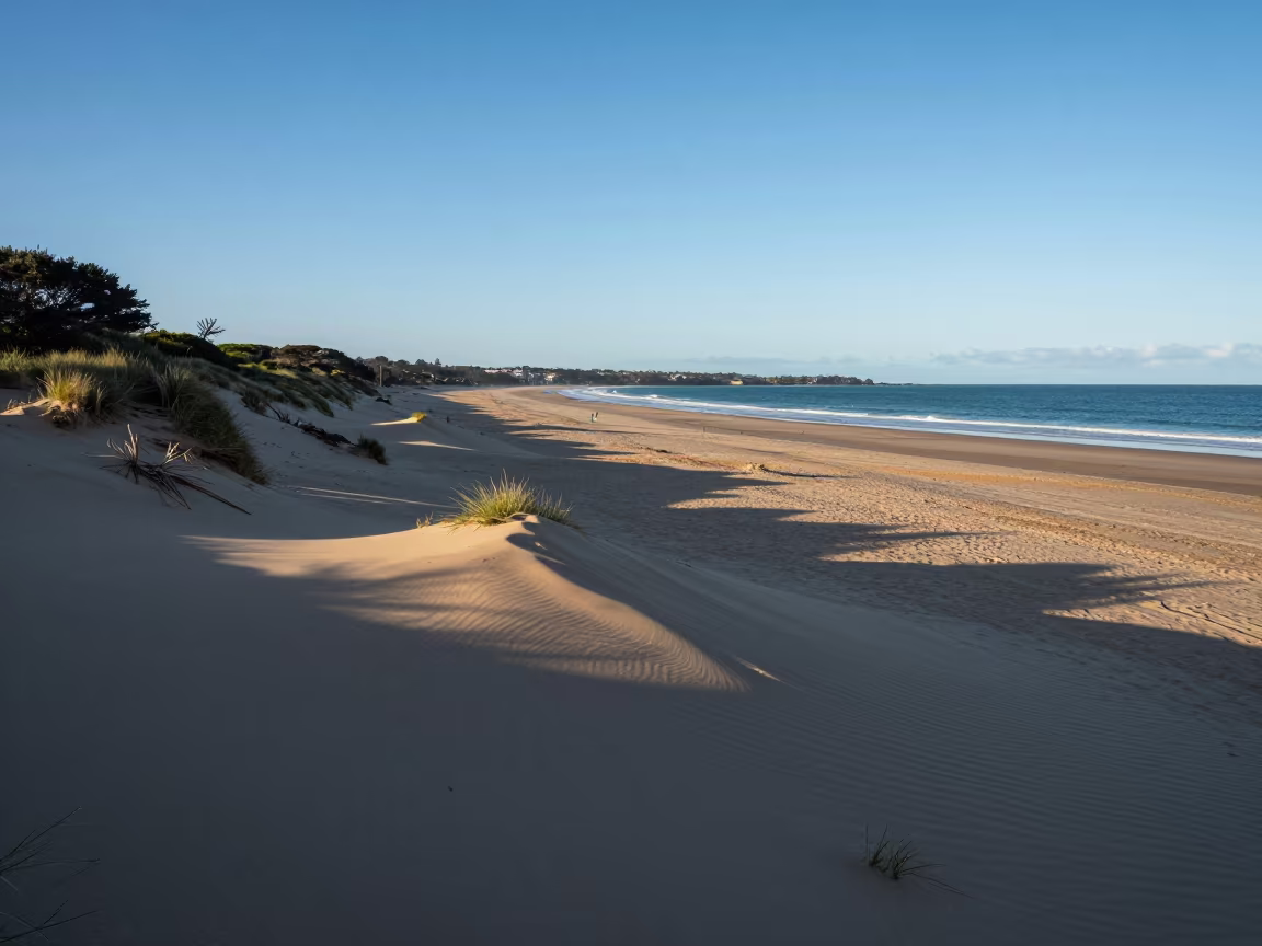 Dawn Shadow Overwash Fans Barrier Beach Auckland Valley in across a wide valley floor near Auckland