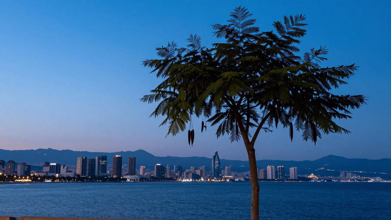 Dawn Skyline in Beirut at Nautical Dawn Light in in Beirut, Lebanon