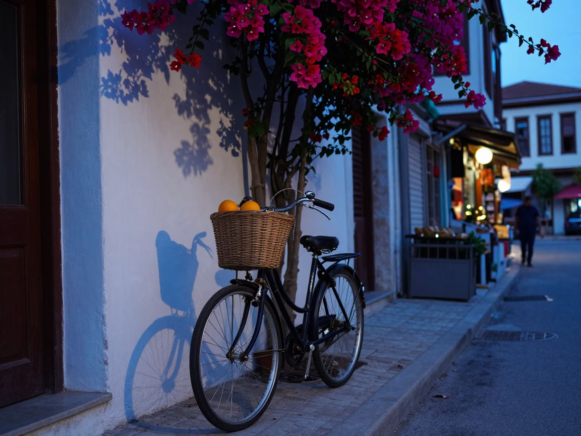 Dawn Street Scene in Izmir Turkey with Bicycle Basket and Bougainvillea in in Izmir, Turkey