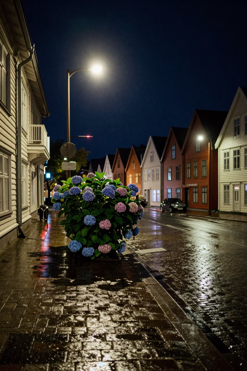 Deep In The Night Light on Street Scene in Bergen in in Bergen, Norway