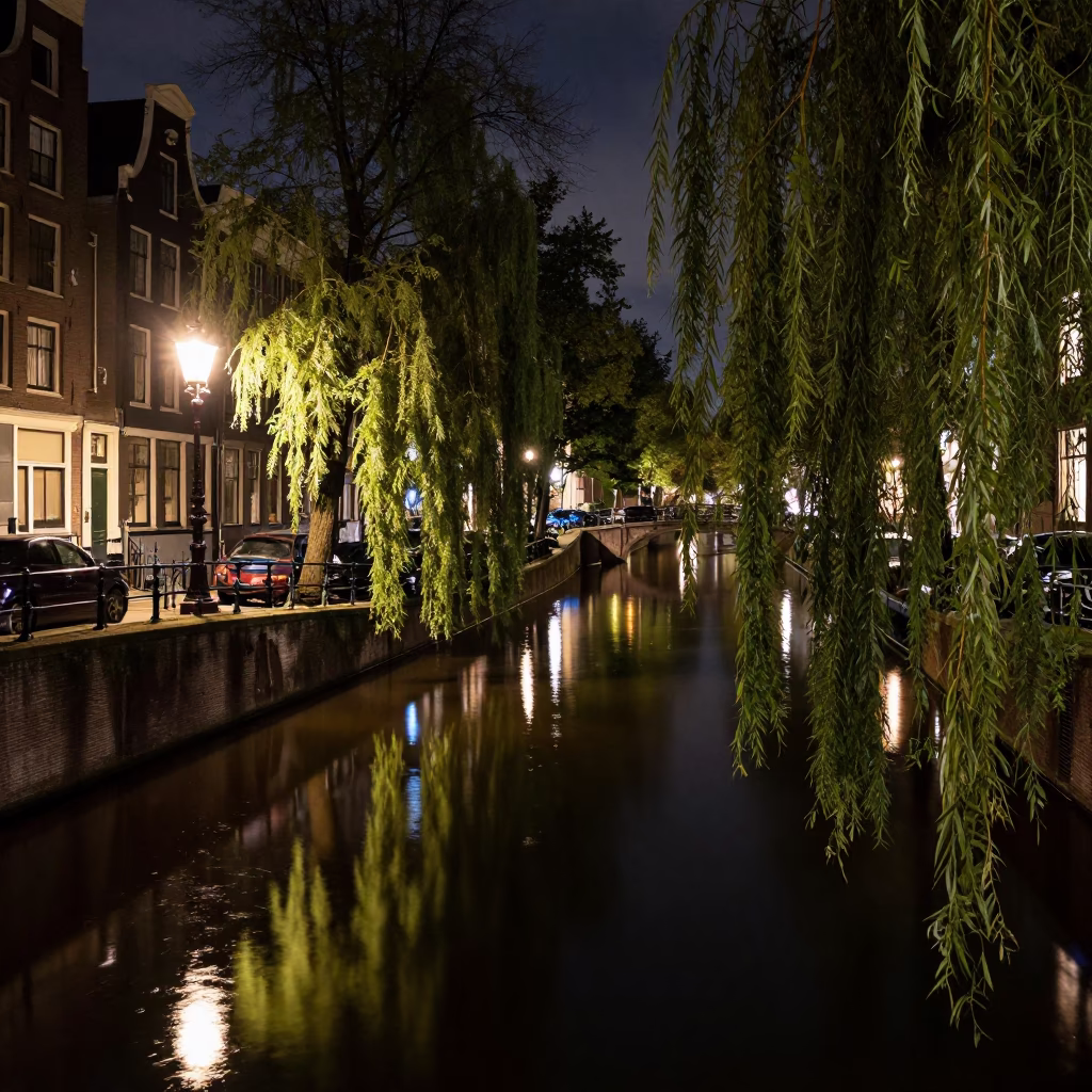 Deep Night Amsterdam Canal Scene with Willow Reflections and Weathered Iron Hinge Details in in Amsterdam, Netherlands