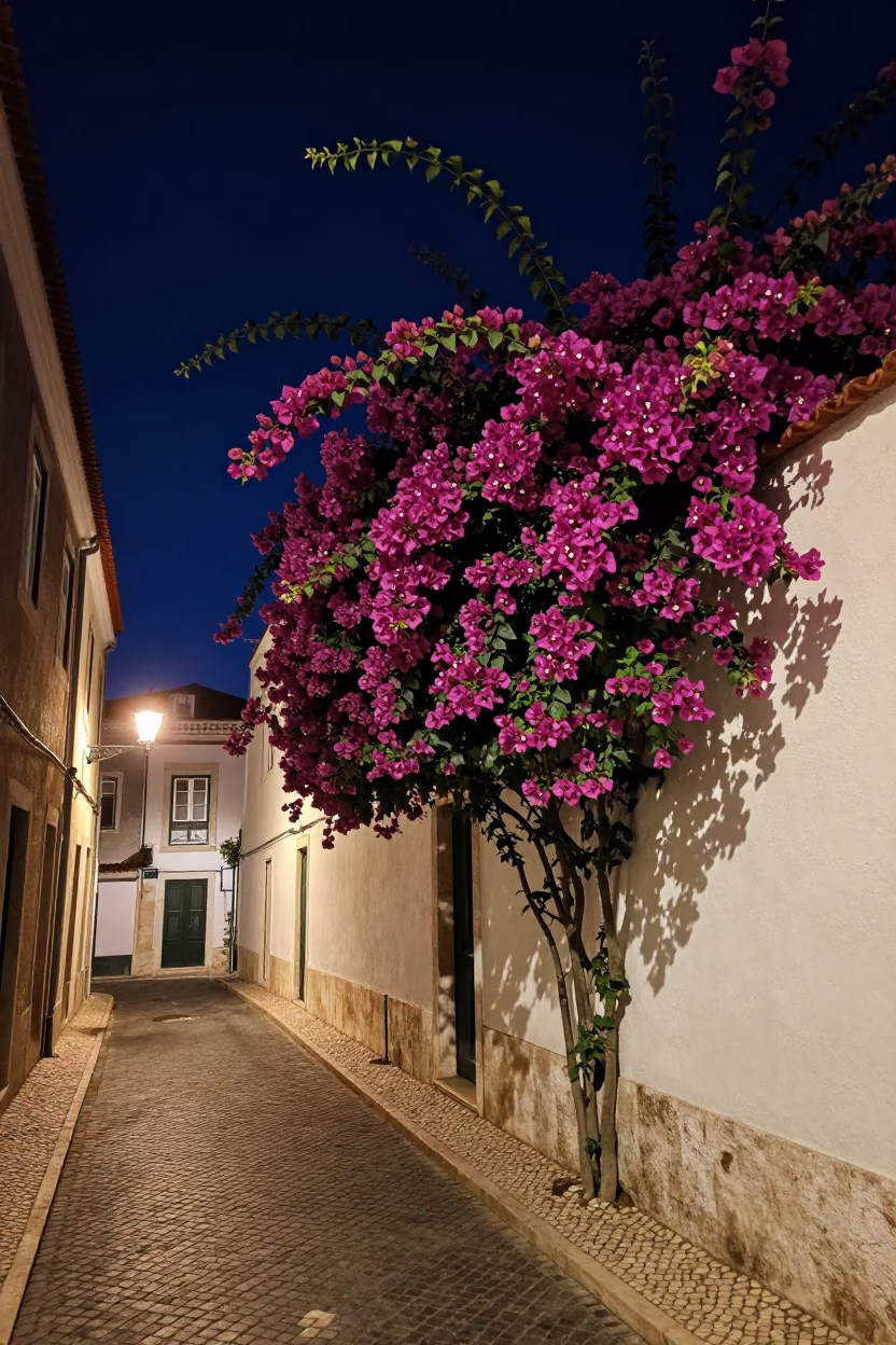 Deep Night Lisbon Street Scene with Bougainvillea and Vintage Brass Basin in in Lisbon, Portugal
