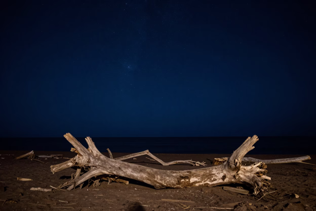 Deep Night Sky Over Dakar Senegal Coastline With Driftwood On Sandy Beach in in Dakar, Senegal