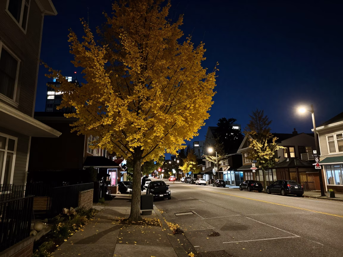 Deep Night Vancouver Street Scene with Ginkgo Tree and Urban Architecture in in Vancouver, British Columbia, Canada