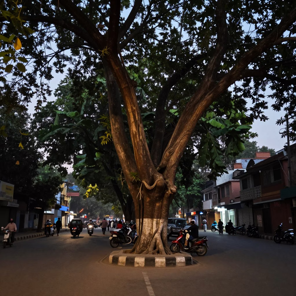 Delhi India Evening Street Scene with Banyan Grove and Local Life in in Delhi, India