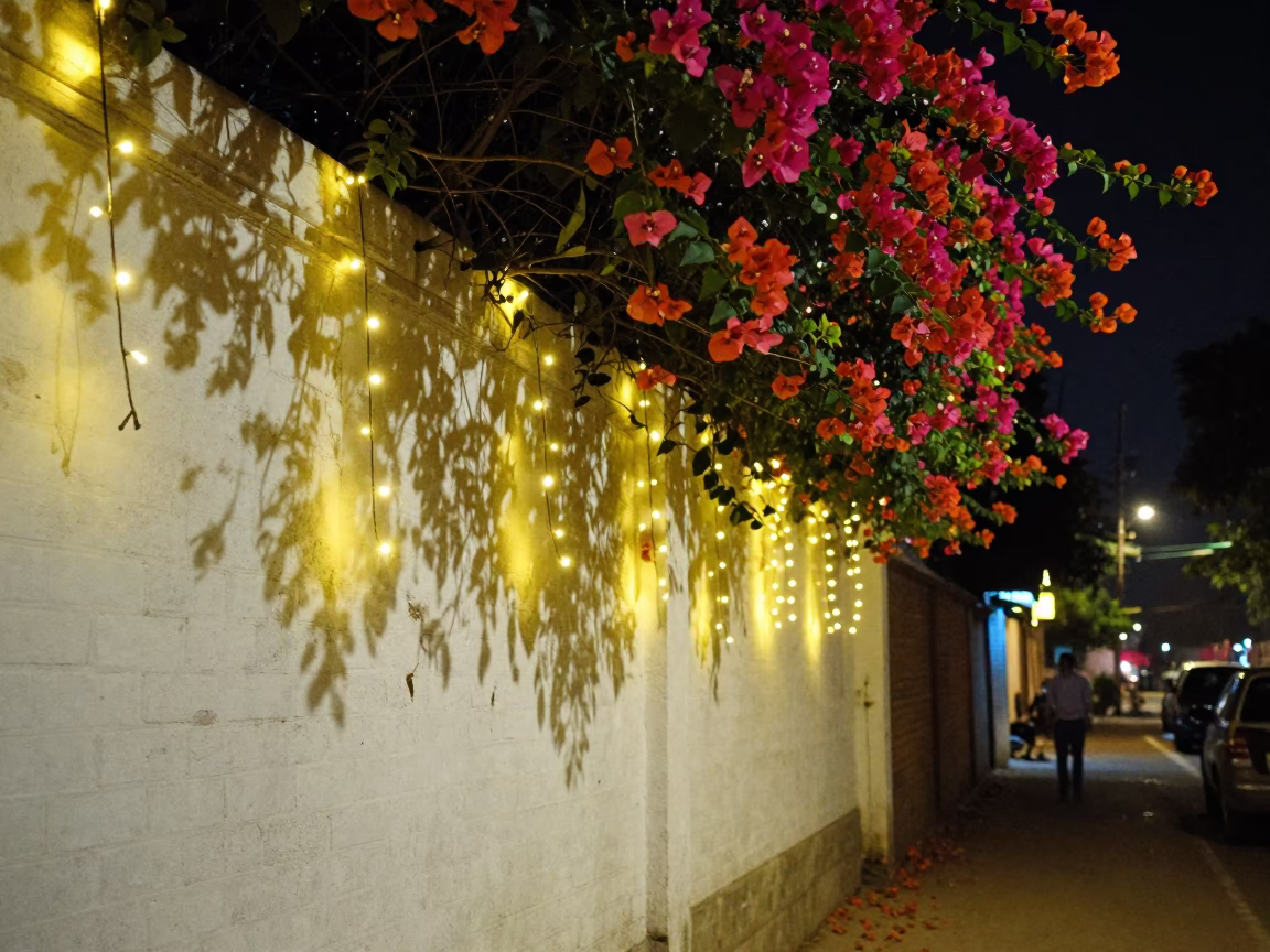 Delhi Night Street Scene with String Lights and Bougainvillea Over White Wall in in Delhi, India