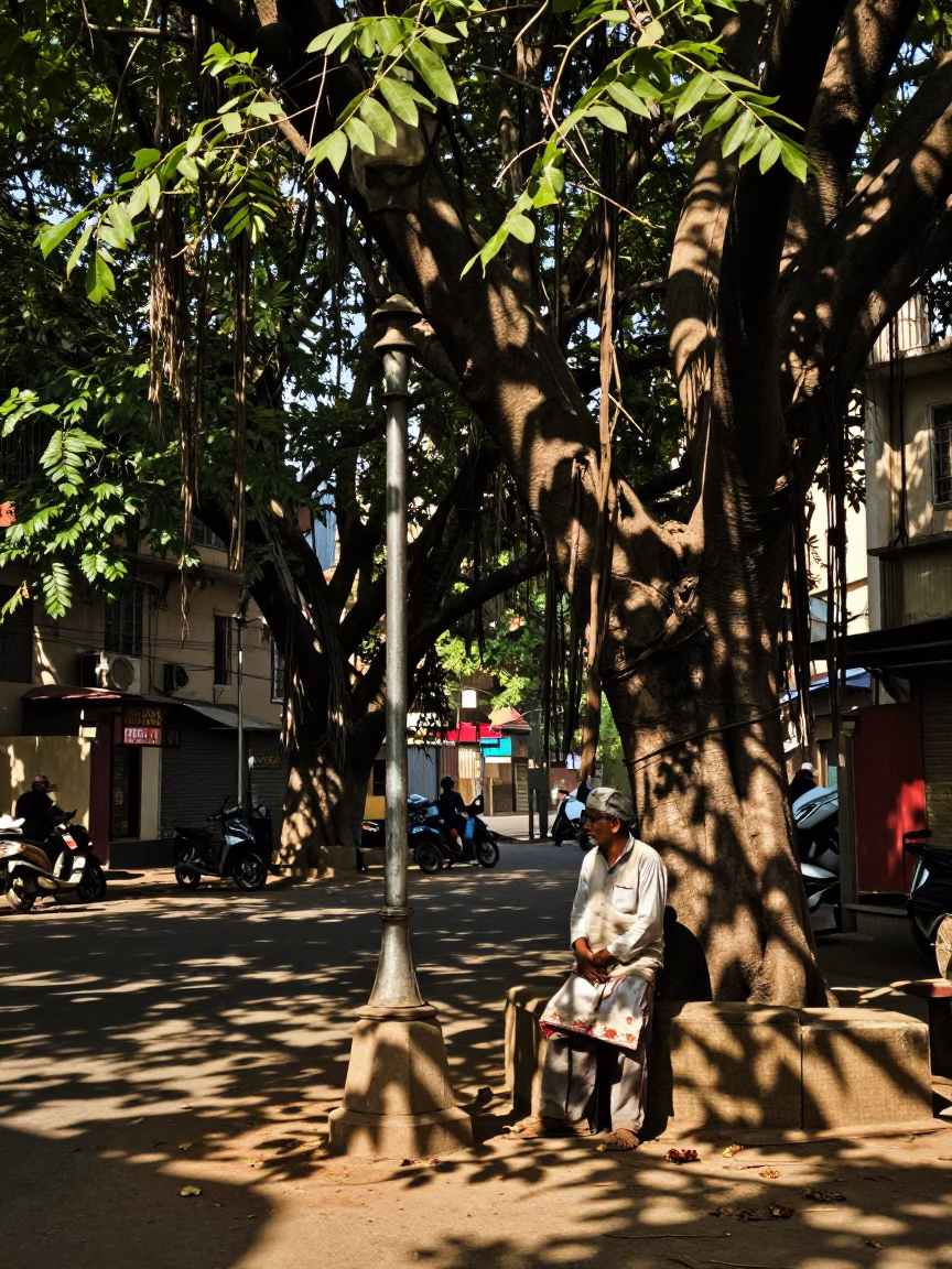Delhi Street Scene Early Afternoon Banyan Tree Shadows Gulab Jamun Vendor in in Delhi, India