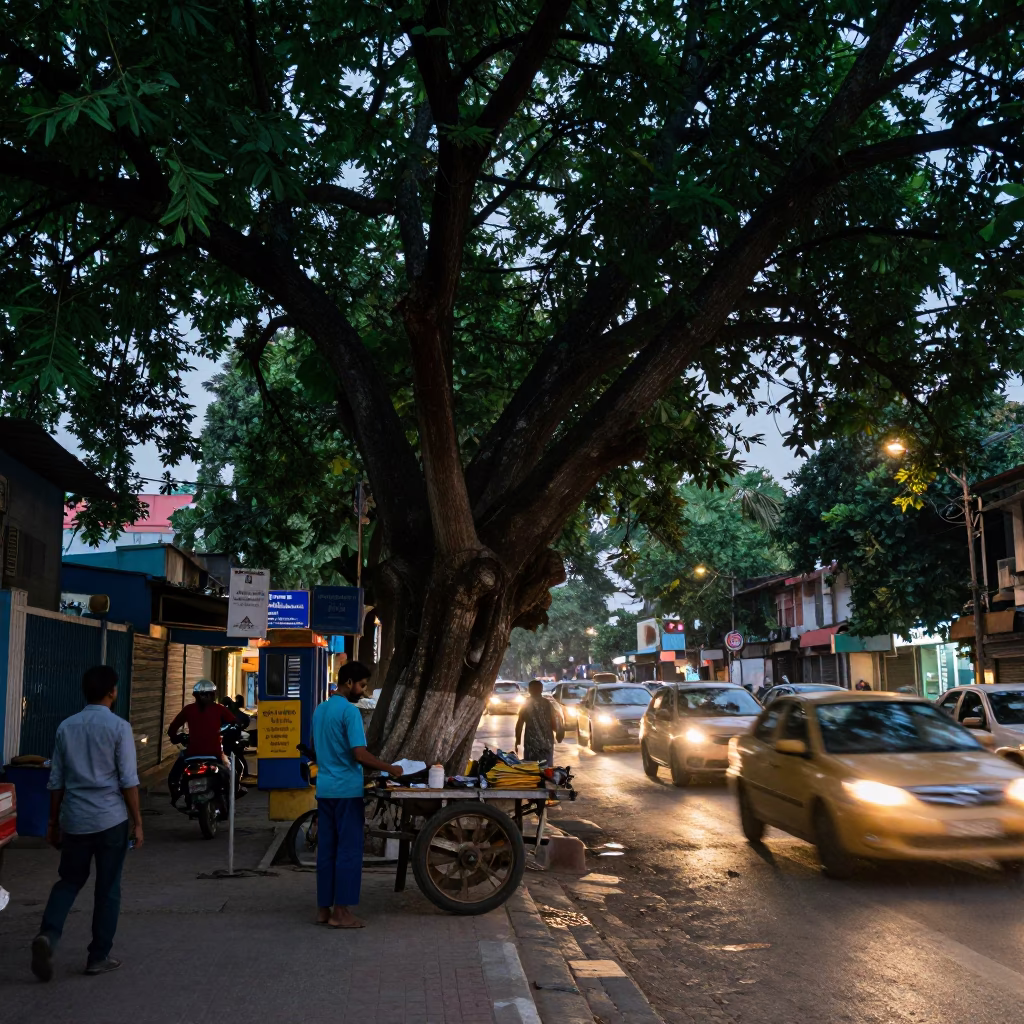 Delhi Twilight Street Scene with Banyan Grove and Traffic Headlights in in Delhi, India