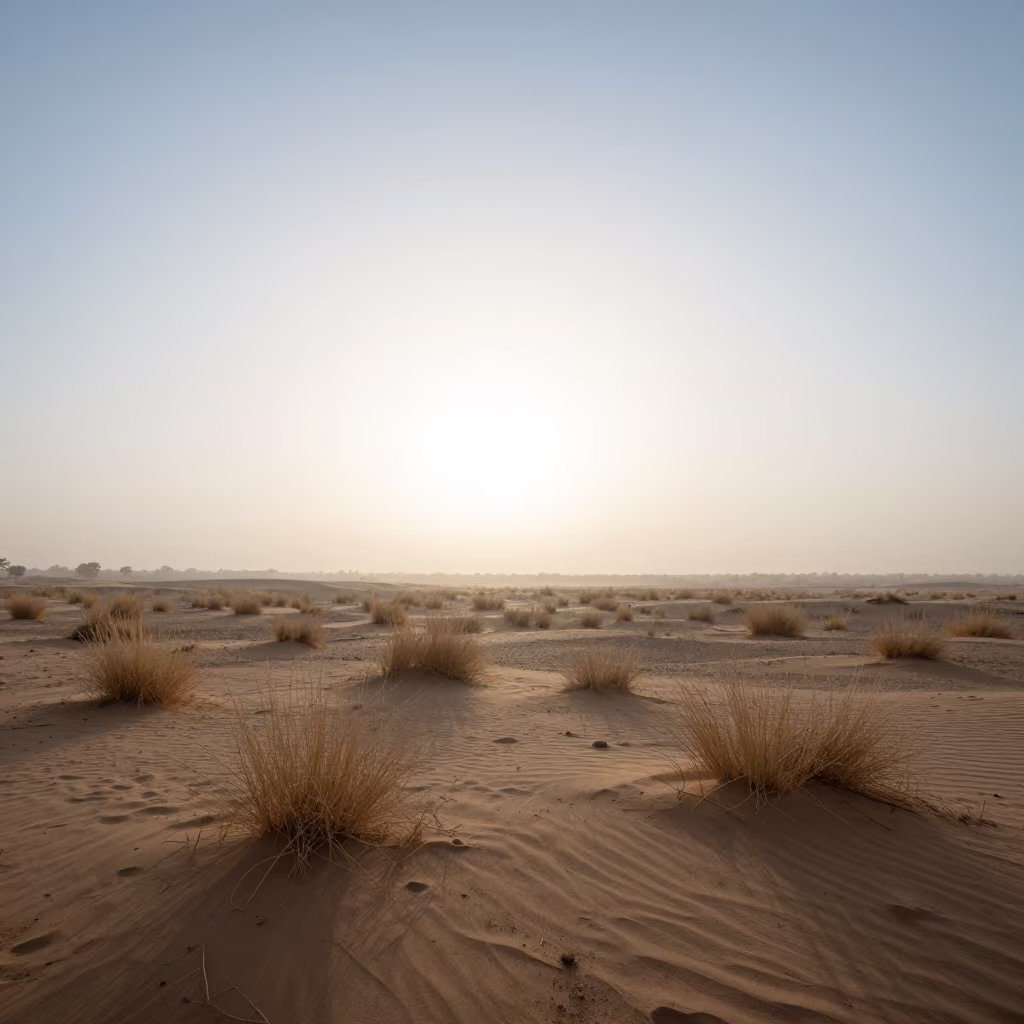 Desert Mirage Valley Floor Rajasthan Dawn in across a wide valley floor in Rajasthan
