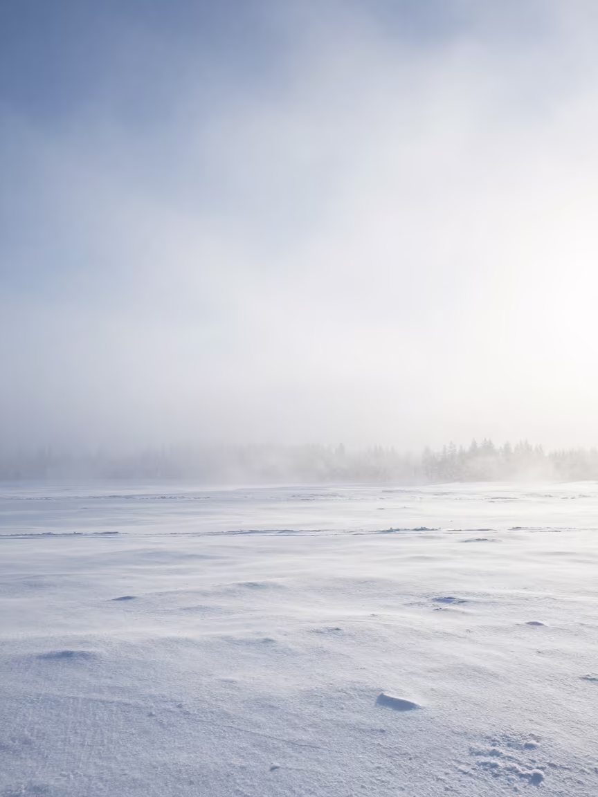 Diamond Dust Shower Over Swedish Plain in across a storm-bright plain in Sweden