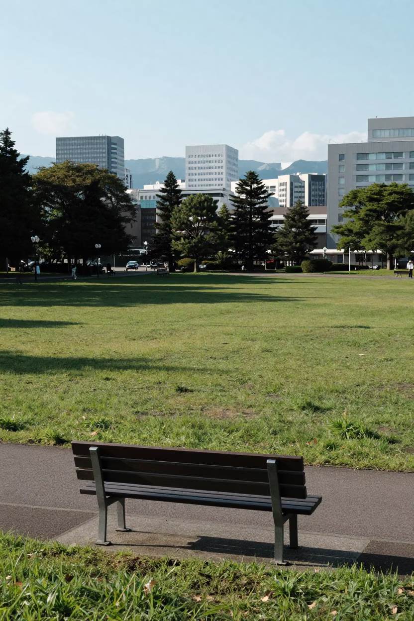 Distant Skyline in Sapporo in in Sapporo, Japan