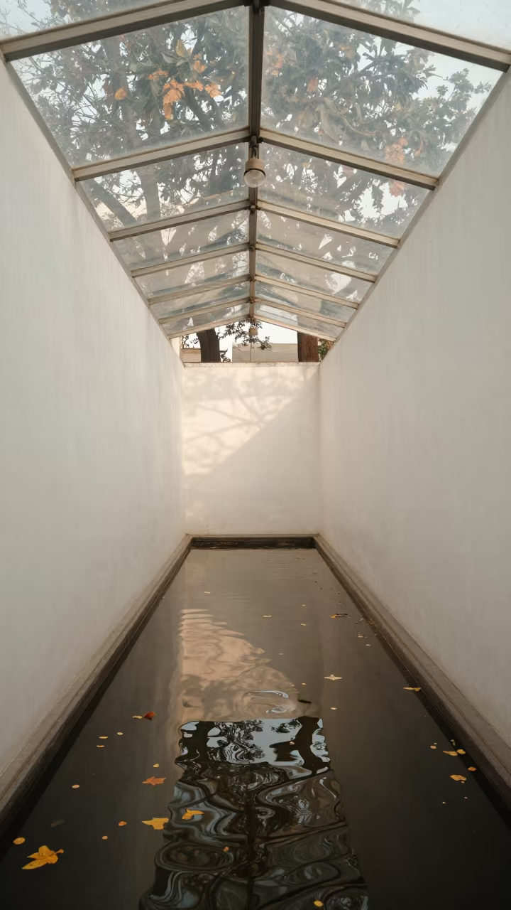 Distorted Tree Reflections in Glass Arcade in inside a glass-roofed arcade in Bahawalpur