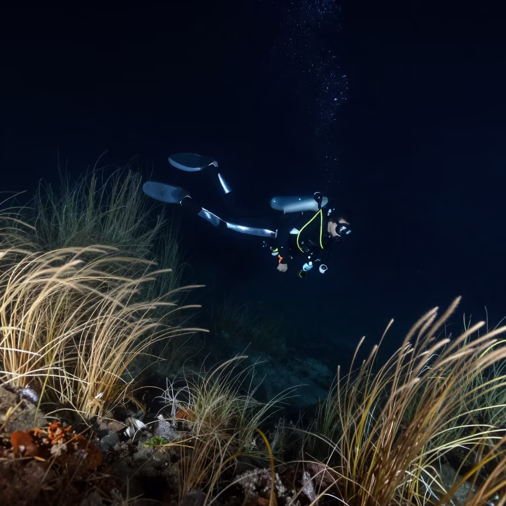Diver Descending Into Blue Night Shadow Muscat in near open fields near Muscat