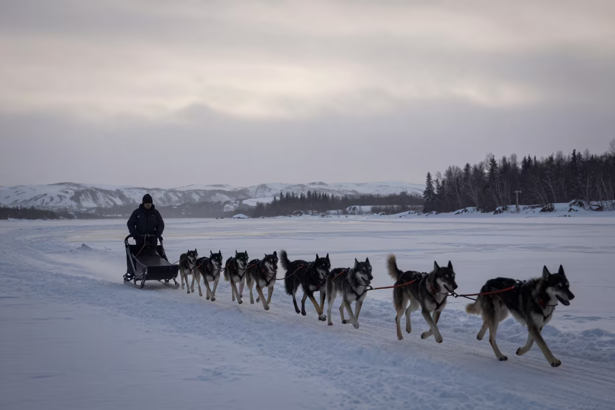 Dog Sled Team Crossing Frozen River at Dawn in beside a tidal inlet near Anchorage