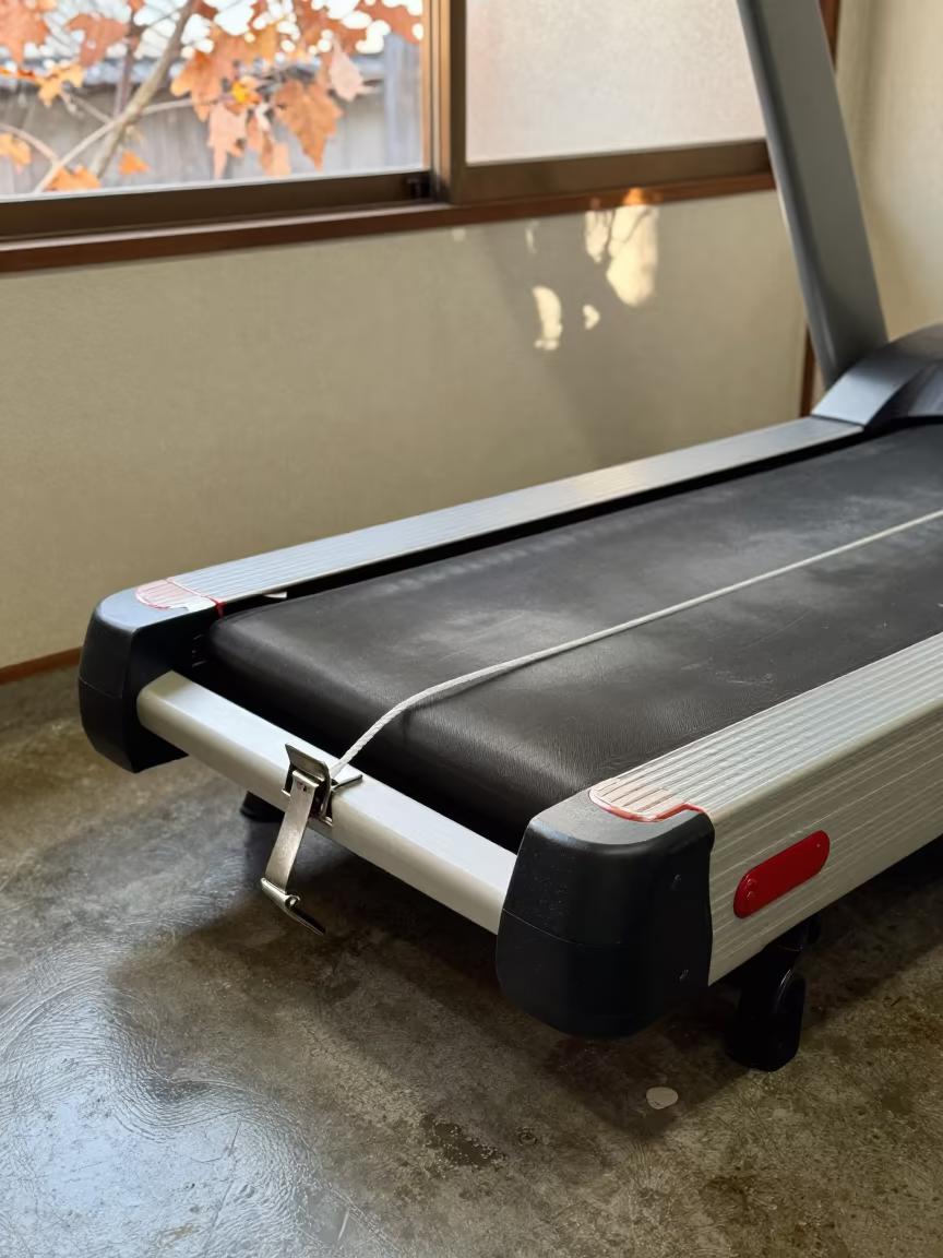 Dog Treadmill Clip Drawer in Kyoto Grooming Bay in inside a grooming bay near Pontocho, Kyoto