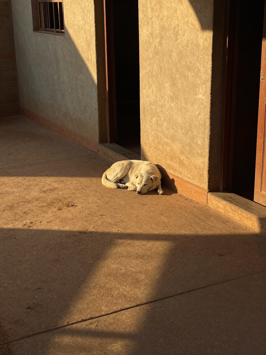 Domestic Corner in Johannesburg at Sunset Light in in Johannesburg, South Africa