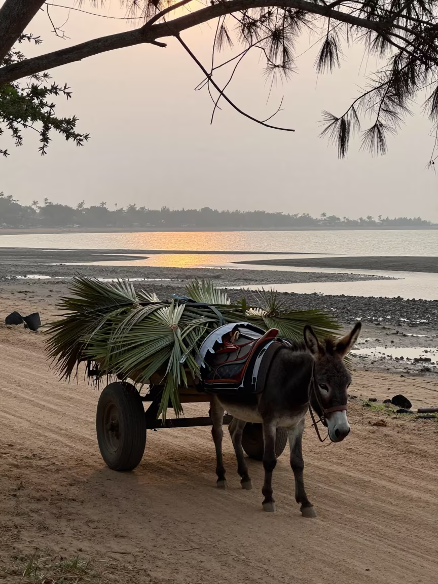 Donkey Cart Palm Fronds Twilight Tidal Inlet in beside a tidal inlet near Mombasa