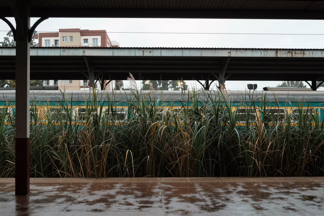 Double Exposure Reeds Apartment Lights Terminal in inside a restored train terminal in Bujumbura