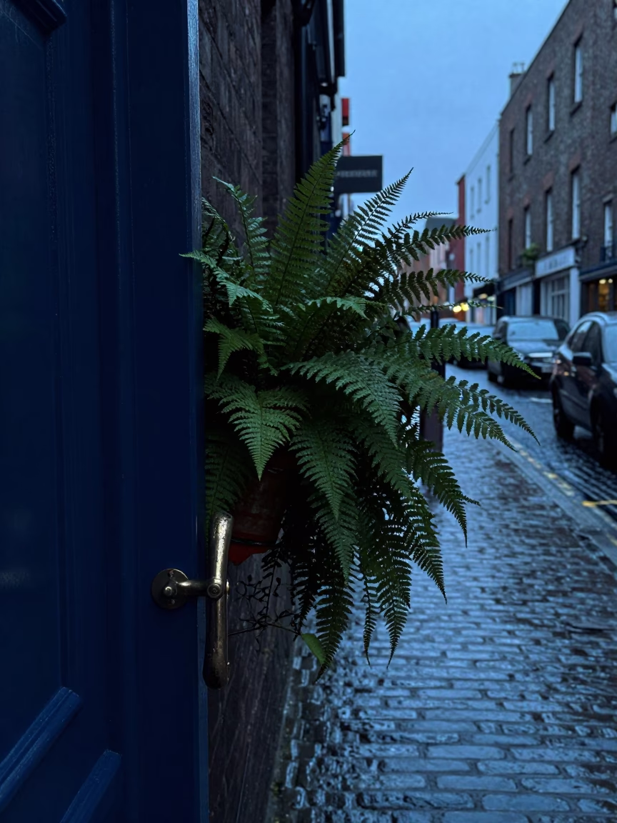 Dublin Blue Hour Street Scene With Iron Door Handle And Ferns in in Dublin, Ireland