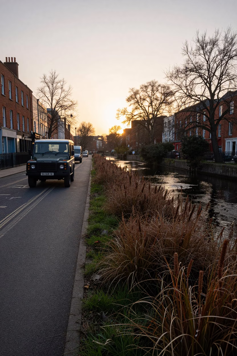 Dublin Dawn Street Scene with Horsetail Marsh Plants and Vintage SUV in in Dublin, Ireland
