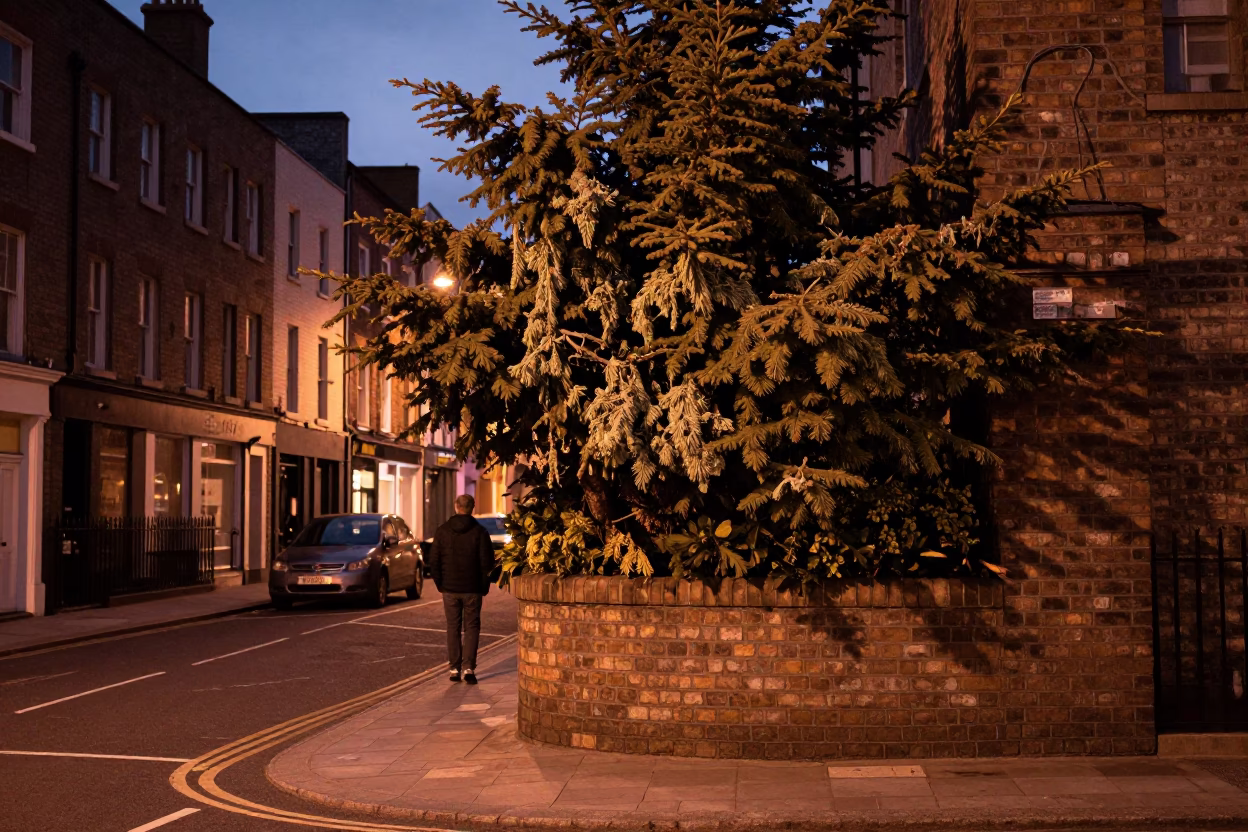 Dublin Evening Scene at Copper-toned Light Before Dusk in in Dublin, Ireland