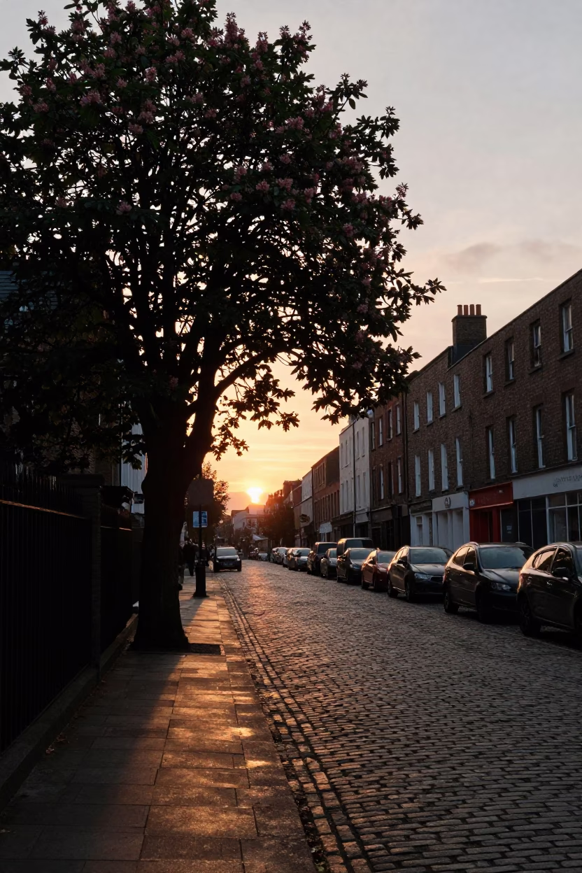 Dublin Evening Street Scene with Chestnut Tree and Spiky Husks at Sunset in in Dublin, Ireland