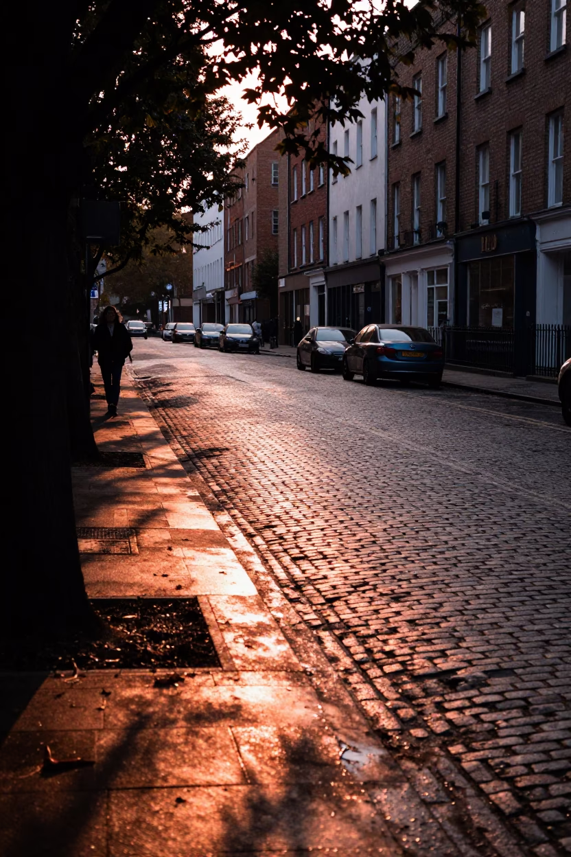 Dublin Ireland Copper Dusk Street Scene with Leaf Shadows and Rusty Wall Details in in Dublin, Ireland